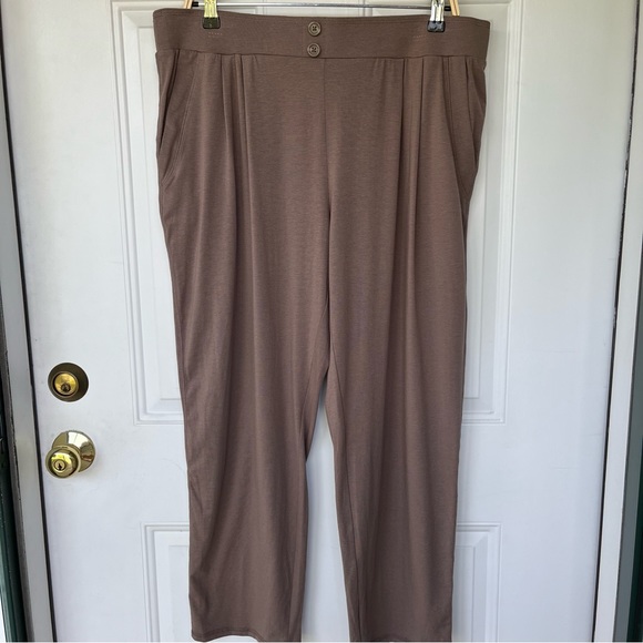 •AnyBody• NWOT Soft Taupe Pull-On Pants - Size Large - Picture 1 of 7